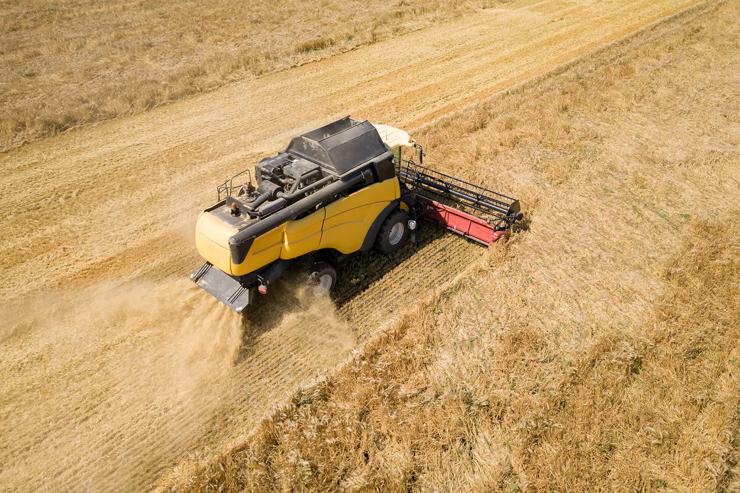 Combine harvester in a field